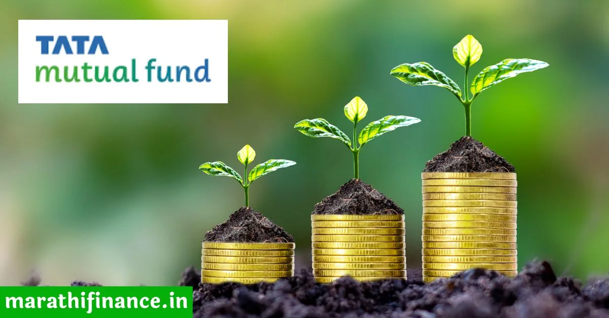 Tata Small Cap Fund Review in Marathi